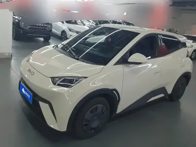 BYD Seagull