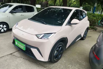 BYD Seagull