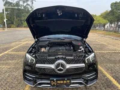 Mercedes-Benz 奔驰GLE(进口)