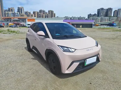 BYD Seagull