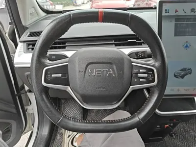 NETA Neta V