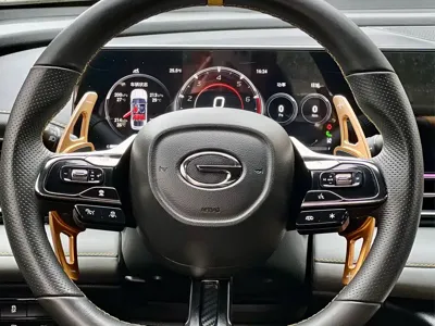 GAC Motor Shadow Leopard