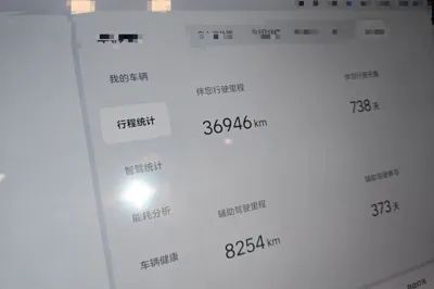 Li Auto L6