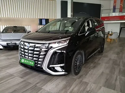 Denza Denza D9