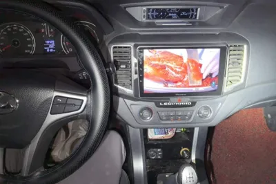 Leopaard Q6