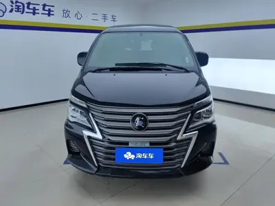 Fengxing Lingzhi