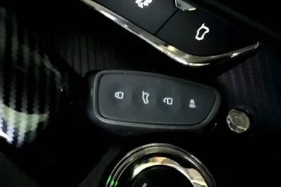 Haval H Dog