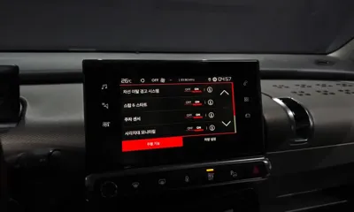 Citroen-DS C4 CACTUS