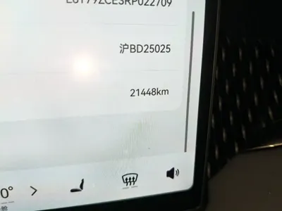 Zeekr 009