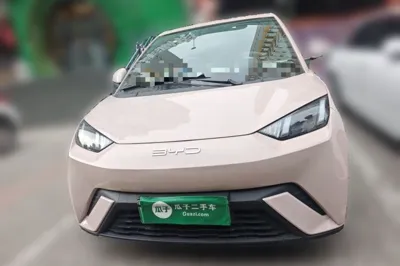 BYD Seagull