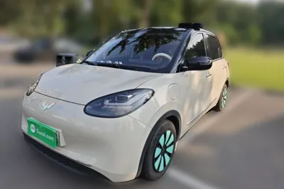 Wuling Bingo