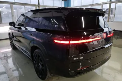 Denza N9