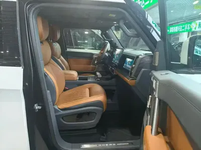 Mengshi Mengshi 917
