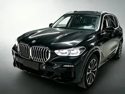 BMW X5 New Energy (Import)