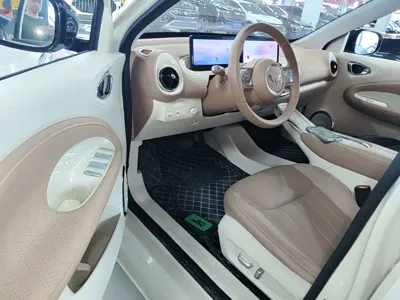 Wuling Bingo