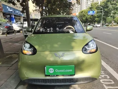 Wuling Bingo