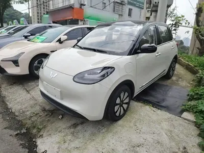 Wuling Bingo