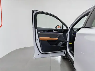 BYD Tang New Energy