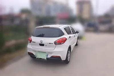 Baojun 310