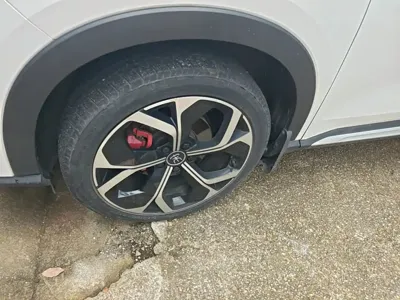 BYD PLUS