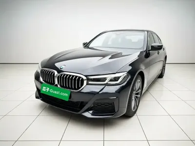 BMW 5 Series New Energy