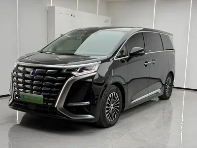 Denza Denza D9