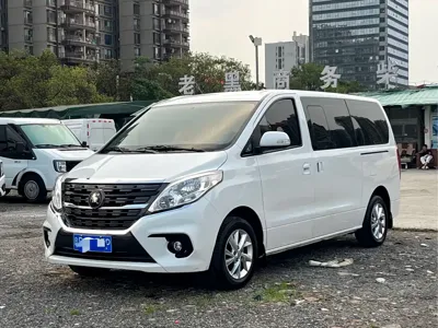 Fengxing Lingzhi PLUS