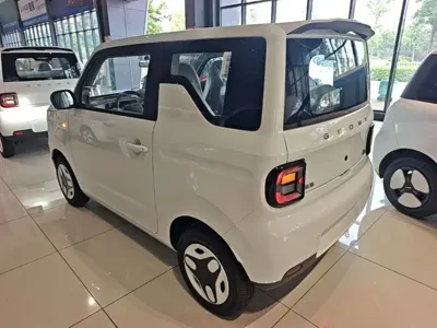 Galaxy Panda