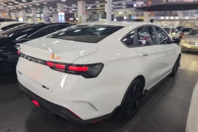 Geely Auto Binray