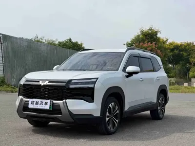 Wuling Xingguang 560 New Energy