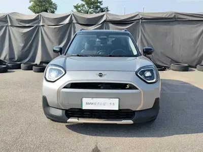 MINI MINI ACEMAN EV