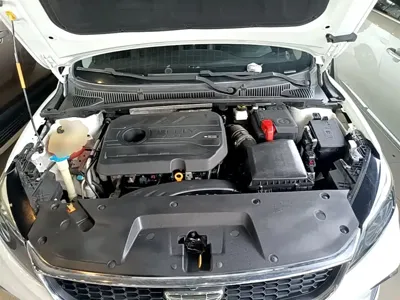 Geely Binrui