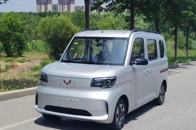 Wuling Zhiguang New Energy