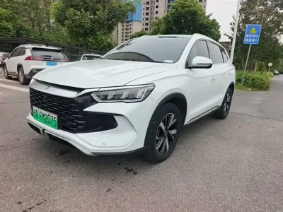 BYD Pro New Energy