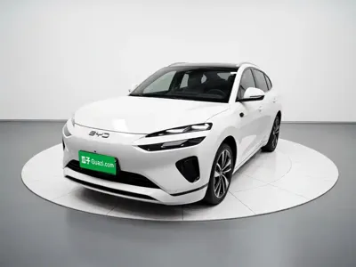 BYD Sealion 06