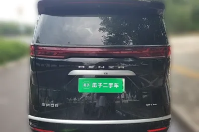 Denza D9