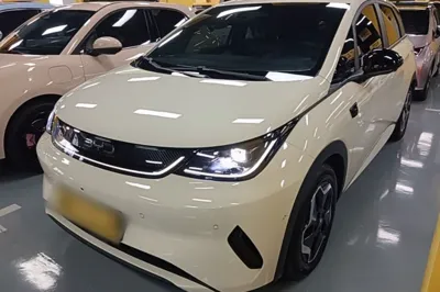 BYD Dolphin