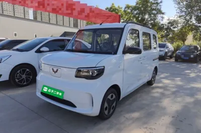 Wuling Zhiguang New Energy
