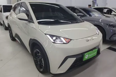 BYD Seagull