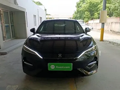BYD L EV