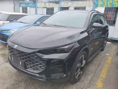 BYD Tang New Energy
