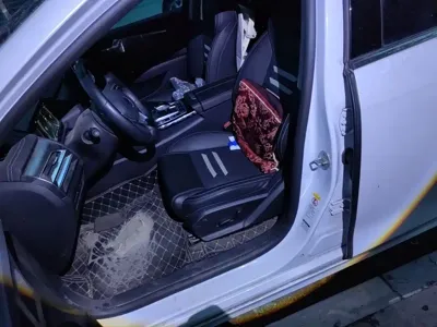 BYD Qin Pro NEV