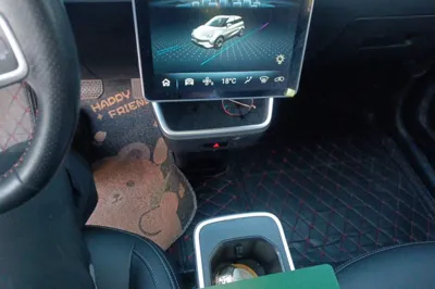 NETA V