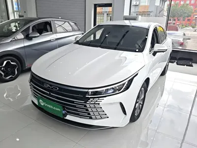 BYD Destroyer 05