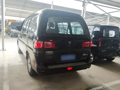 Fengxing Lingzhi