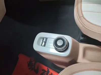 Galaxy Panda