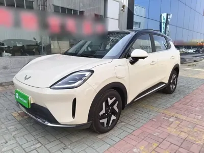 Wuling 缤果S
