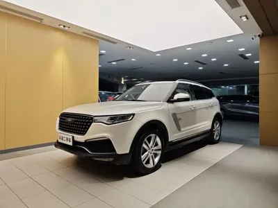 Zotye Zotye T700
