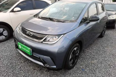 BYD Dolphin
