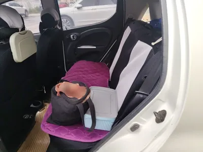 Changan Benni mini